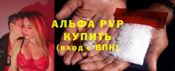 эйфоретик Арсеньев