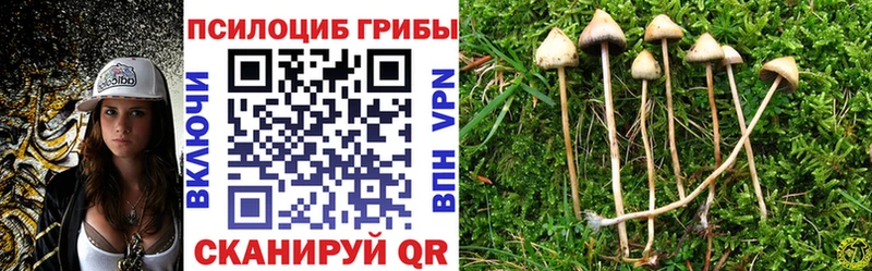 Галлюциногенные грибы MAGIC MUSHROOMS  Каспийск 